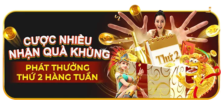Hình ảnh hoàn trả cược thể thao hàng tuần